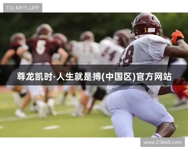 探索z6com尊龙凯时：全方位解析其独特魅力与优势